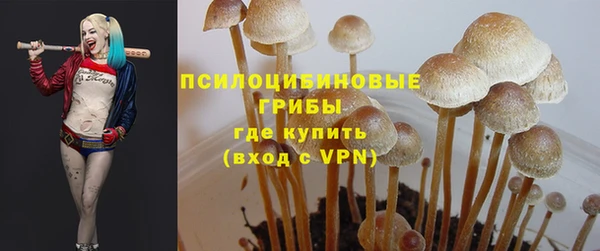 ПСИЛОЦИБИНОВЫЕ ГРИБЫ Алексеевка