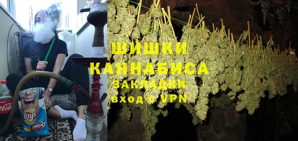 ПСИЛОЦИБИНОВЫЕ ГРИБЫ Алексеевка